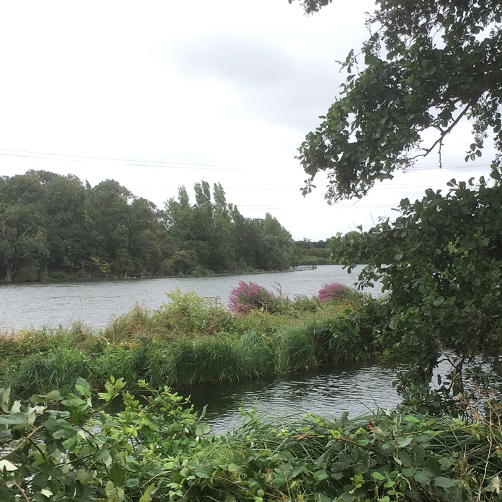 Walthamstow Wetlands, July 2018