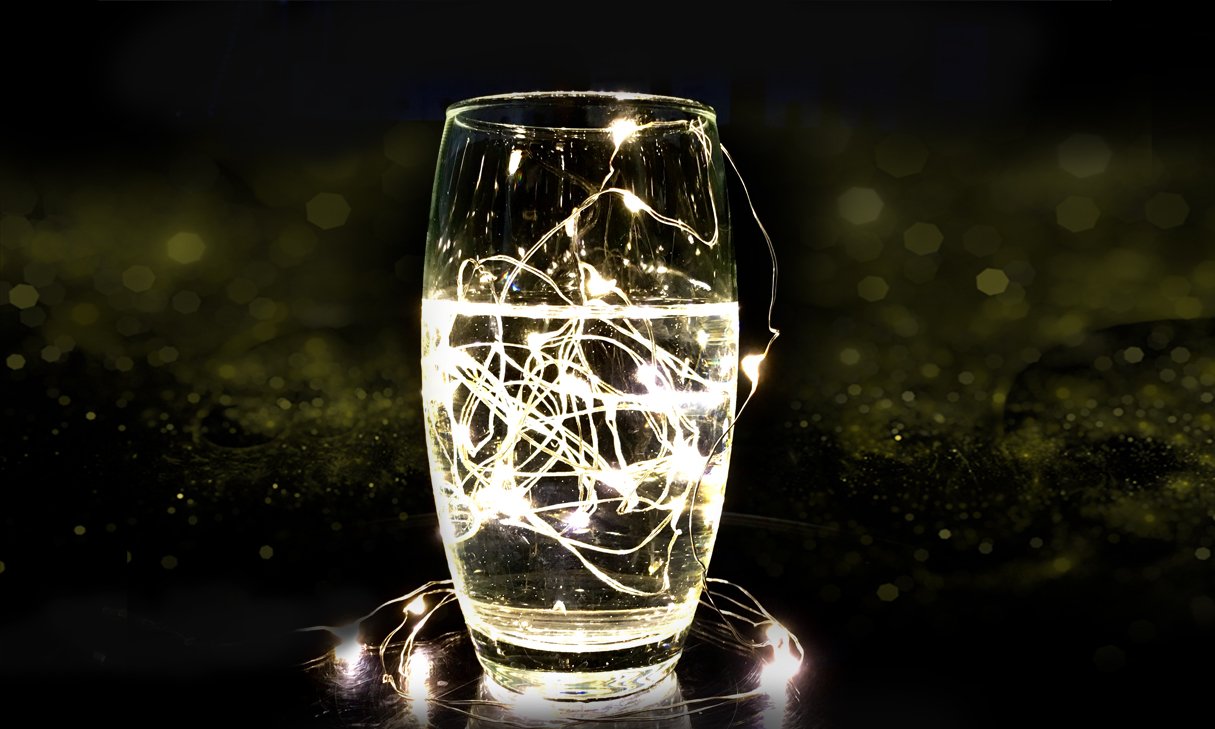 Festive Chameleon - the magic of the season