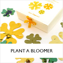 Plant A Bloomer