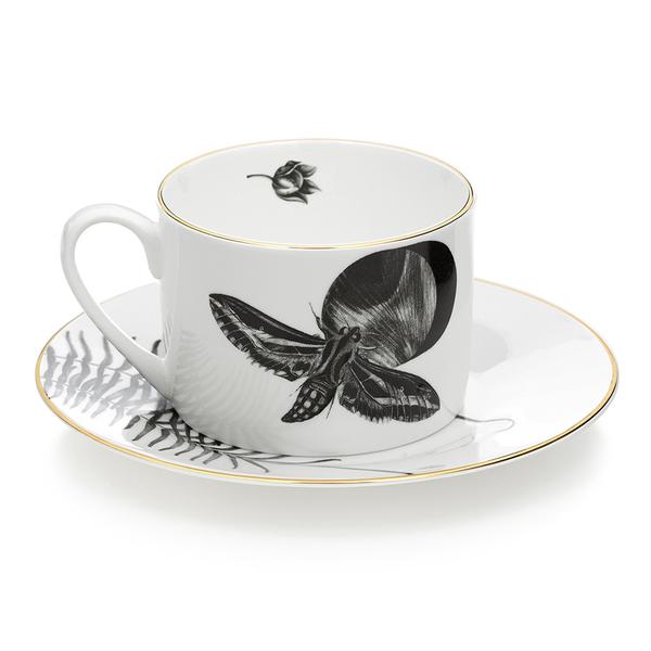 Fern and butterfly teacup & saucer by Sasha Tugolukova