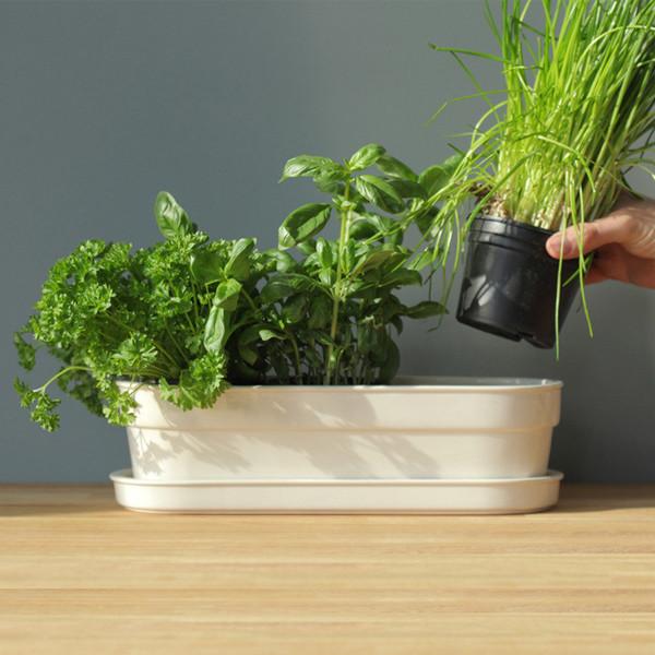  Herbivore Indoor Planter by Jody Leach