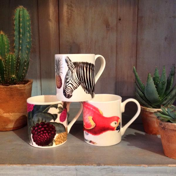 Natural History Collection Mugs in Bone China by Michelle Mason