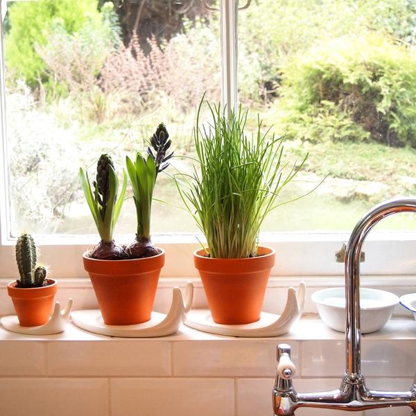 Takae Mizutani, Sweet Home Snail Plant Pot.